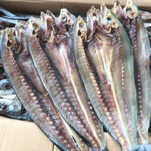 Ribbon Fish Shutki